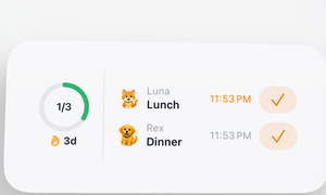 Medium widget showing Luna's lunch and Rex's dinner reminders with a streak counter