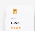 Small widget showing Luna's next reminder, lunch at 11:53 PM